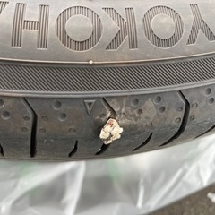 ✳︎本日限定タイムセール✳︎