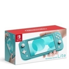 　【極美品】Switch Lite  