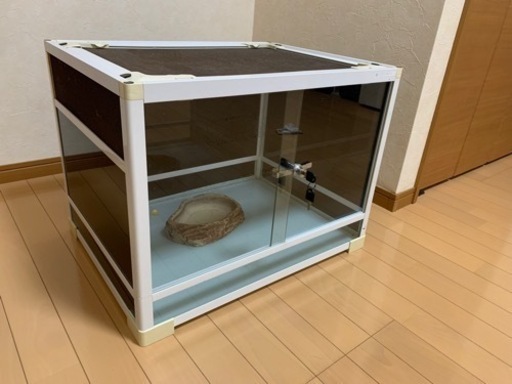 爬虫類ゲージ