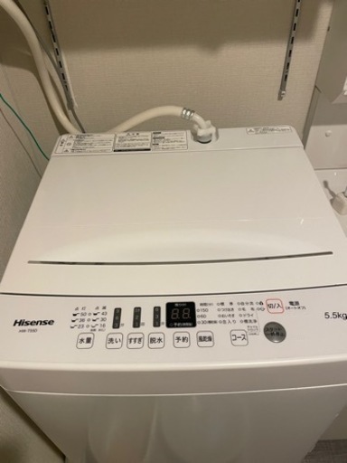 家電 生活家電 洗濯機