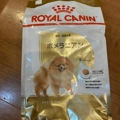 ペット　犬　朝　ドライフード　ロイヤルカナン　