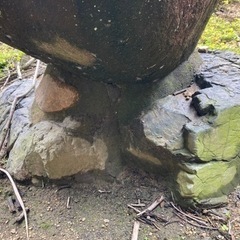 縁先手水鉢・立鉢・蹲