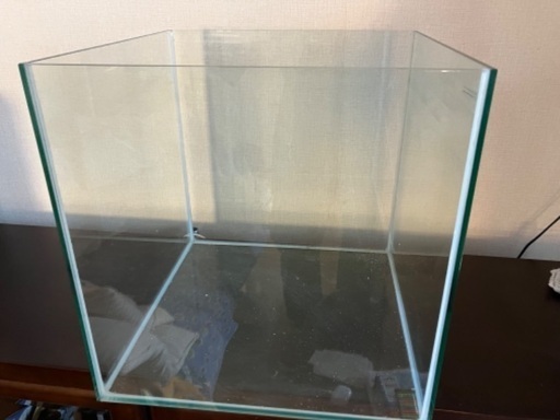 水槽　熱帯魚　海水魚