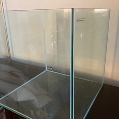 水槽　熱帯魚　海水魚