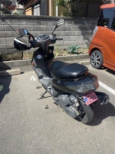 シグナス2型
