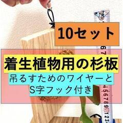 【ビカクシダなど着生植物用】杉板10枚（吊るすためのワイヤーとS...