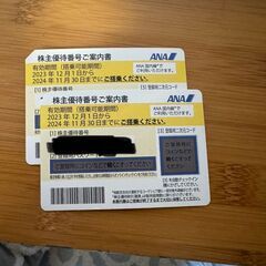  ANA株主優待券 2枚セット！搭乗期限2024年11月まで