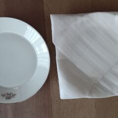 【ネット決済】新品、白、皿2枚