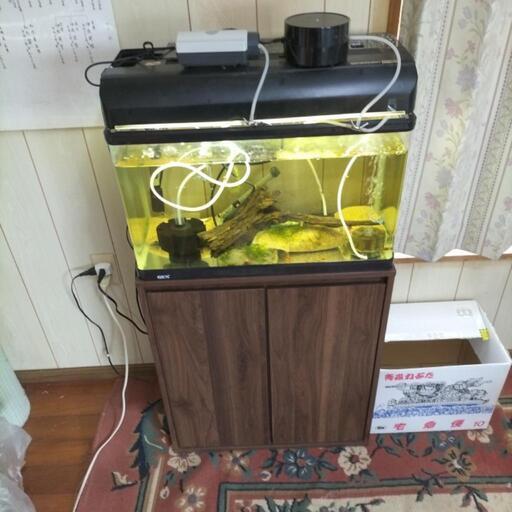 60センチ水槽一式セット　流木付