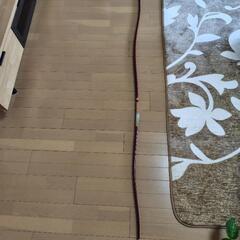 弓道用の弓(葵)、矢、ケース