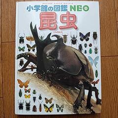 小学館の図鑑NEO　昆虫