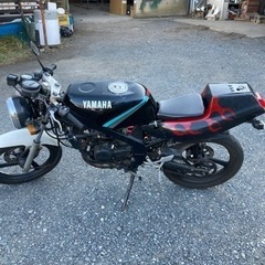 バイク ヤマハTZR50 3tu