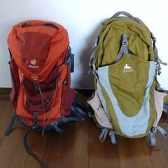 【無料】deuter、Gregory　ザック　本日3/4引取可能な方