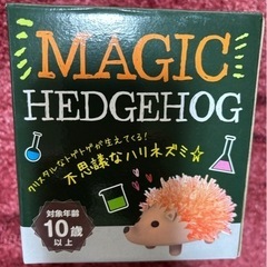 【新品】マジックなハリネズミ