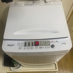 Hisence 洗濯機
