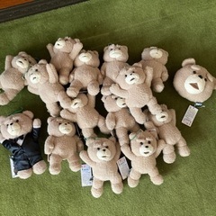 未使用　TED ぬいぐるみ　