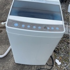 2019年製 Haier 5.5kg全自動洗濯機
