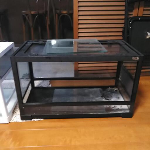 爬虫類ゲージ(単品6000円)