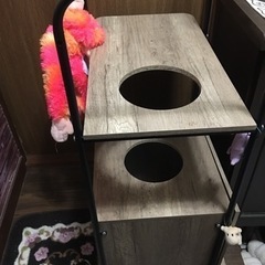 キャットタワーと猫トイレ