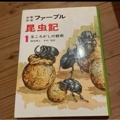 ファーブル昆虫期　1 玉ころがしの観察