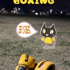 ボクシングの画像