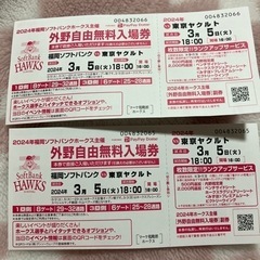 ⚾️野球入場券🎫