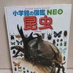 小学館の図鑑NEO　昆虫