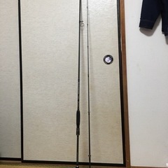 シーバス　　宇崎日伸　ブルーポーター