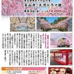 マイライフ新聞社主催 桜バスツアー参加者募集