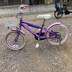 自転車 紫