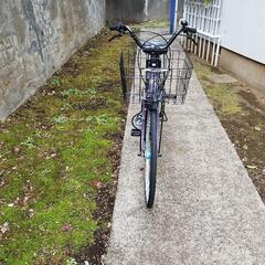 人気の自転車が譲渡中！