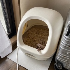 花王　猫用トイレ