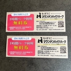 『値下げ4000円→2500円』チケット テーマパーク/遊園地　