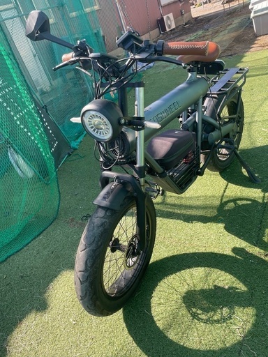 電動バイクCOSWELL!(ご相談の上、無料配送^_^！)
