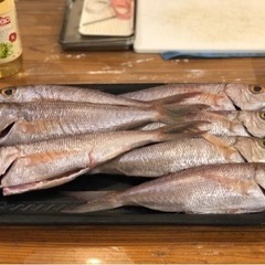 魚料理教室　さばきかたからカルパッチョの作り方 - 浦添市