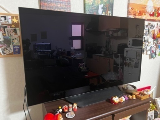 LG 48インチ　OLED48CXPJA有機EL