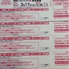 野球チケット　3月17日ソフトバンクvs埼玉西武　外野自由