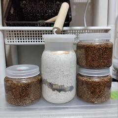 【材割採集】山梨県産オオクワガタ幼虫４匹（詳細産地あり）