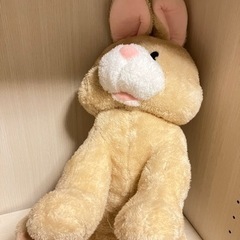 うさぎのぬいぐるみ🐰🩷