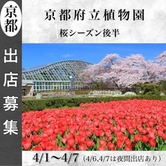 京都府立植物園　桜まつりの画像