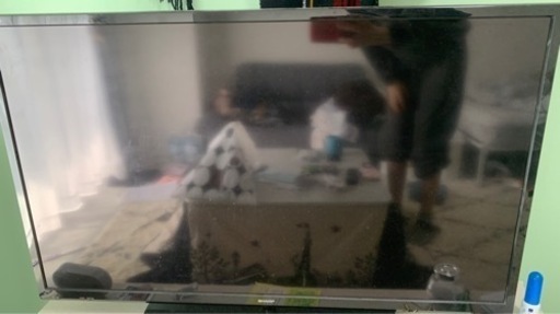 家電 テレビ 液晶テレビ