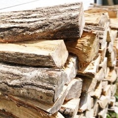 薪ストーブで使う　薪(まき)🪵 