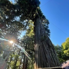 春、夏へ☀️フリークライミング、登山仲間募集⛰️✨の画像