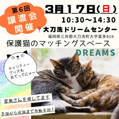 第7回【3/17(日)】保護猫のマッチングスペースDreams大刀洗町