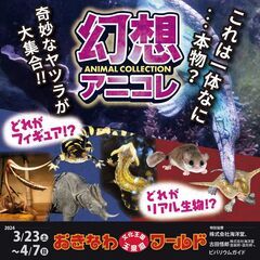 幻想アニコレ (Animal Collection)　おきなわワールド