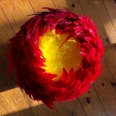 ウリウリ（一体型）