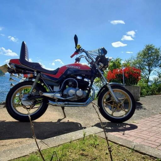 スズキ Gsx250l