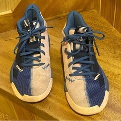 adidasバスケットシューズ