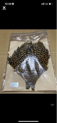 ジャングルコック