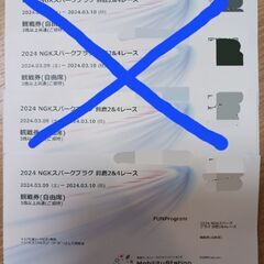 3月10日限定　鈴鹿サーキットのレース観戦チケット(パスポート付...